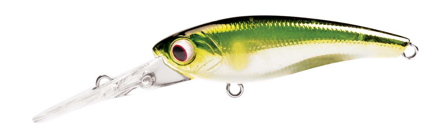 TANGO SHAD