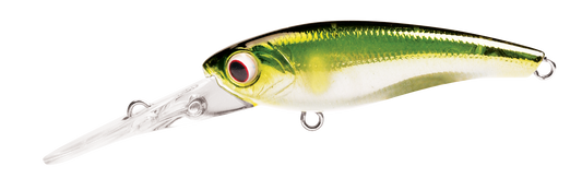 TANGO SHAD