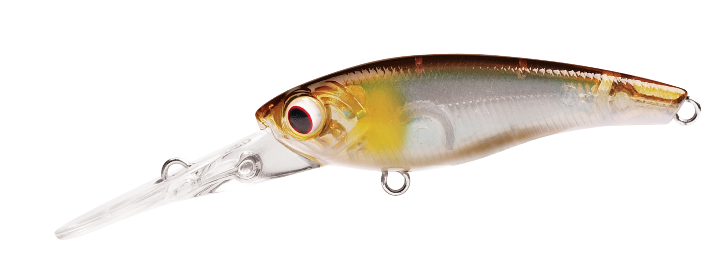 TANGO SHAD