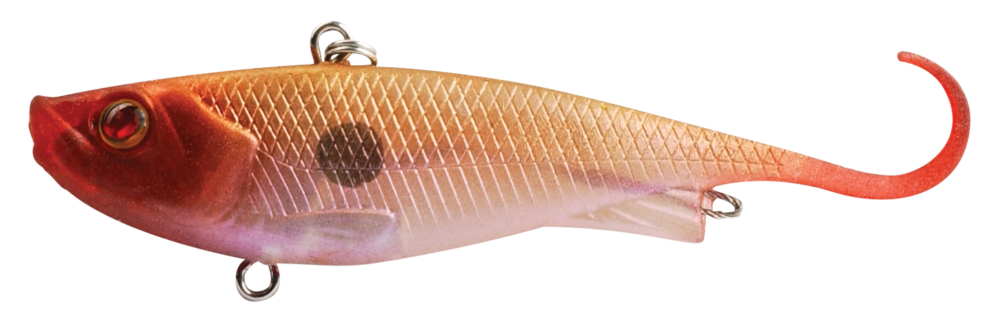 FISH TRAP
