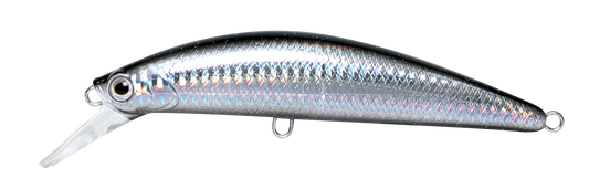 CAVALLA