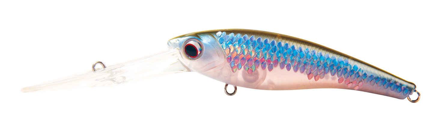 TANGO SHAD