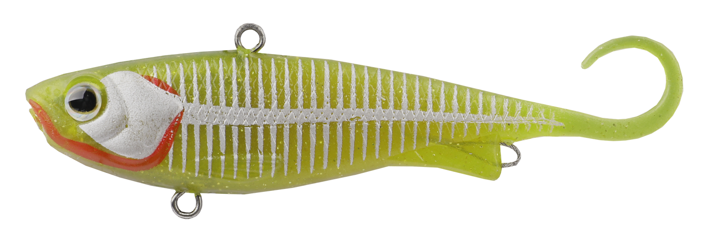 FISH TRAP