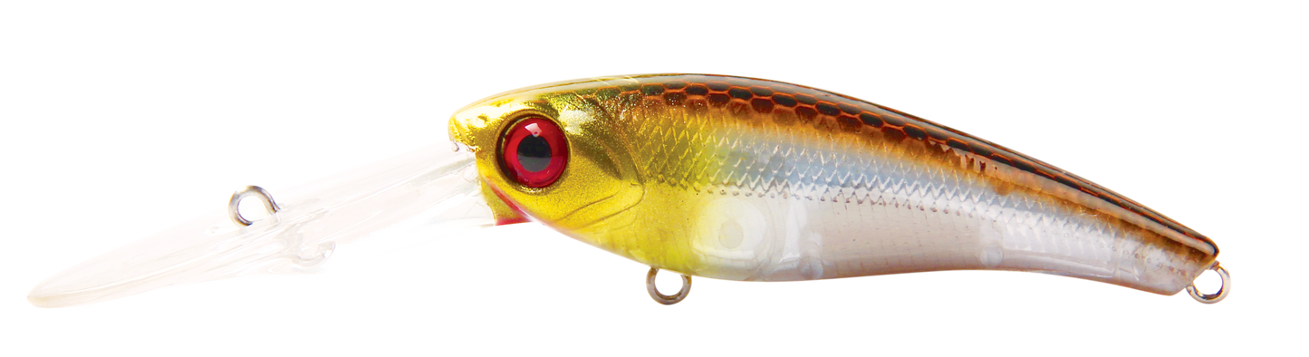 TANGO SHAD