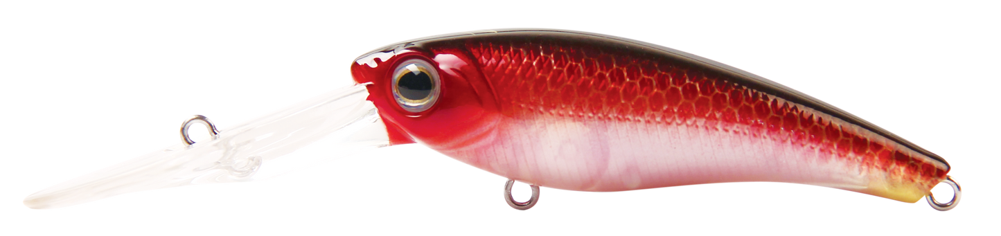 TANGO SHAD