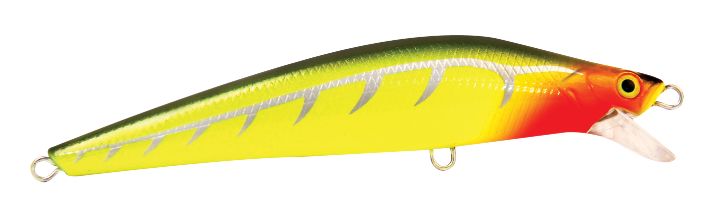 BARRA-X PRO