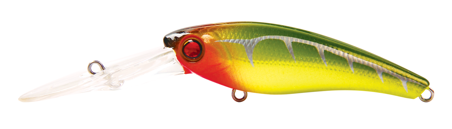 TANGO SHAD