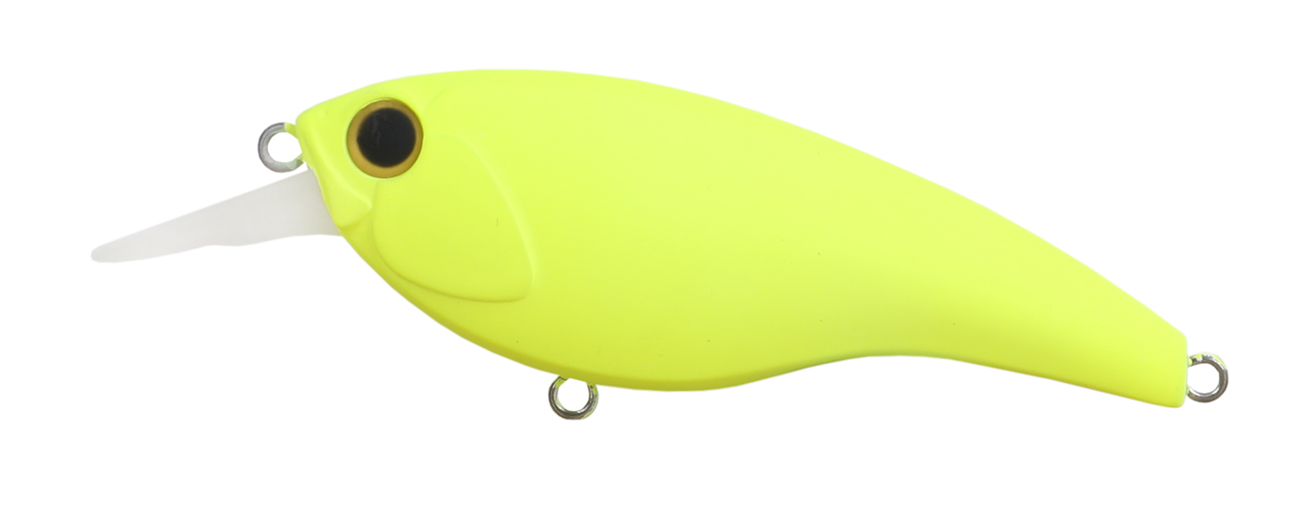 NAP SHAD