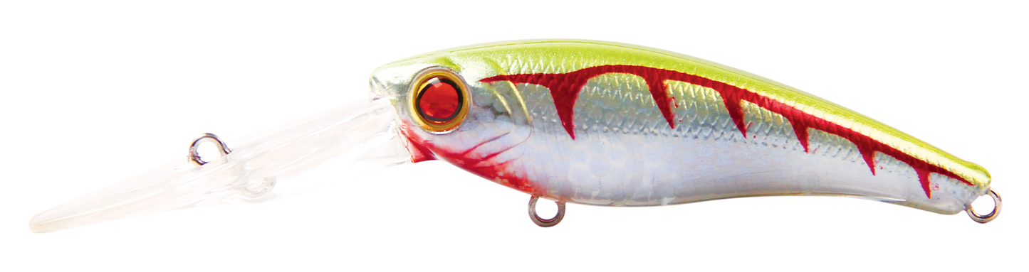 TANGO SHAD