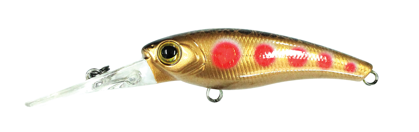 TANGO SHAD