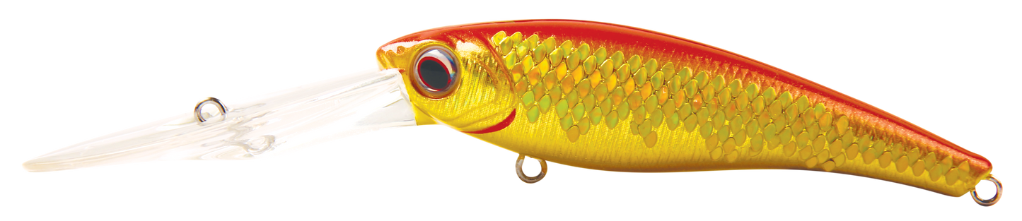 TANGO SHAD