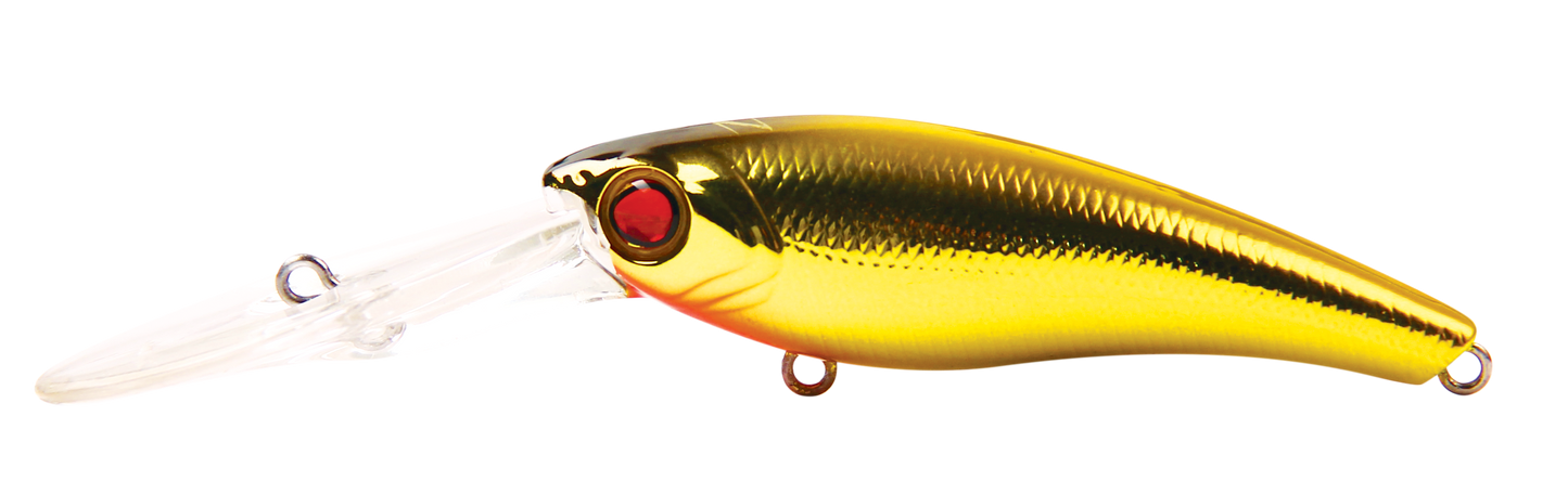 TANGO SHAD