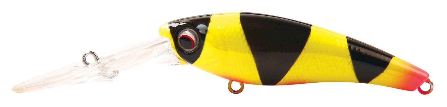 TANGO SHAD