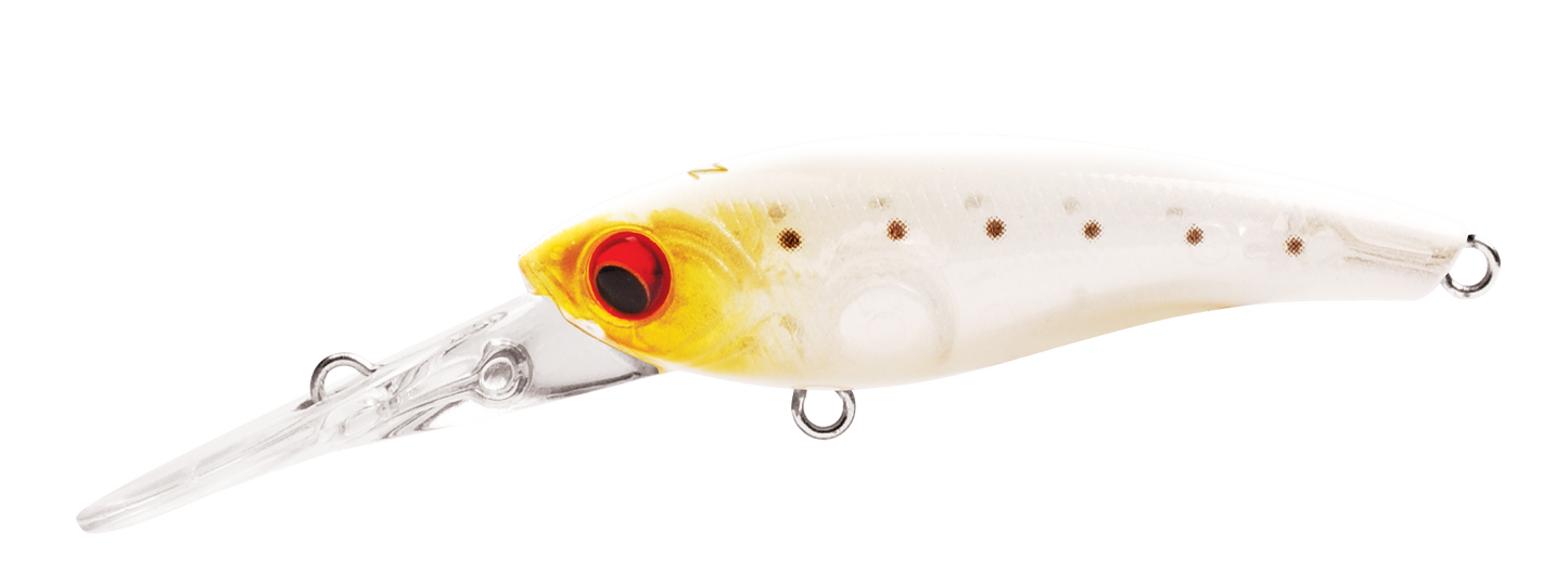 TANGO SHAD