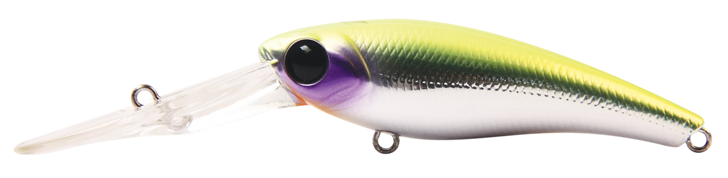 TANGO SHAD