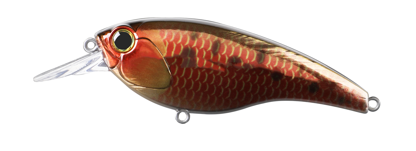 NAP SHAD