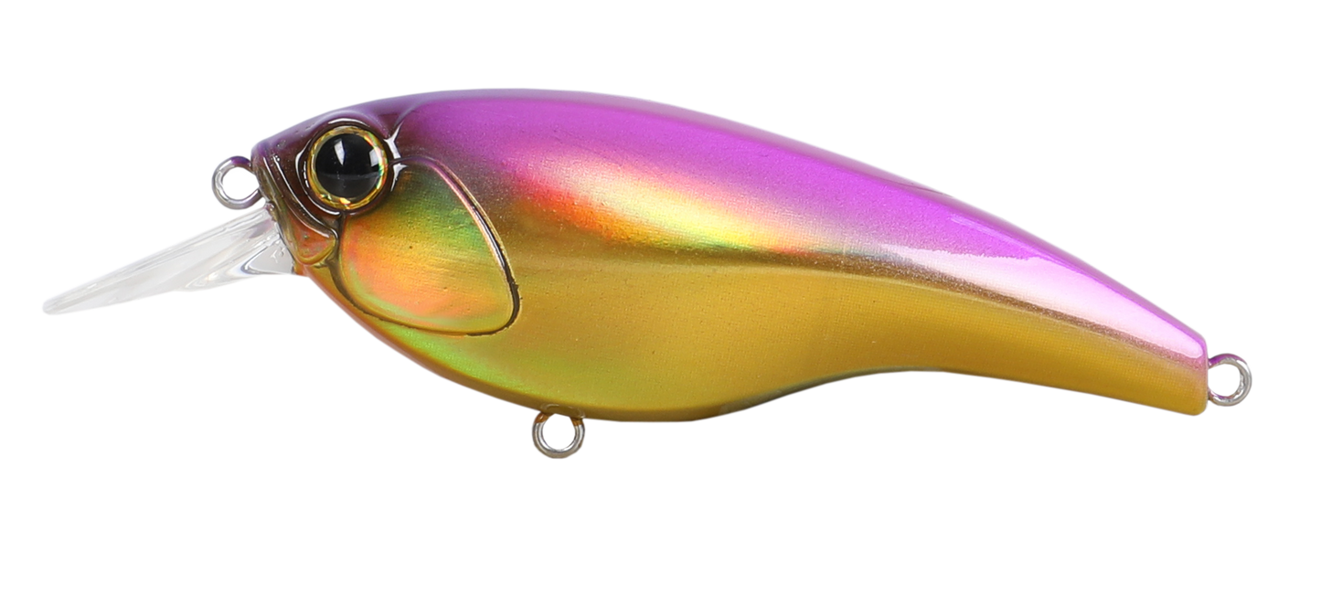 NAP SHAD