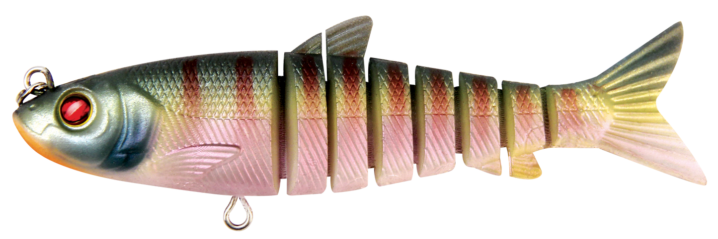 LIVE MULLET