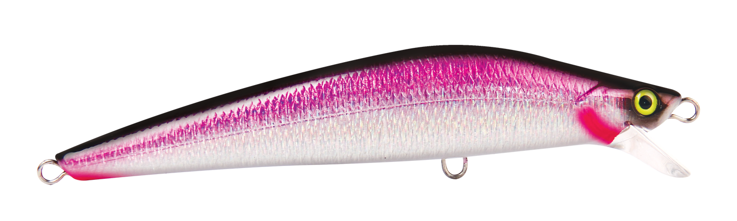 BARRA-X PRO