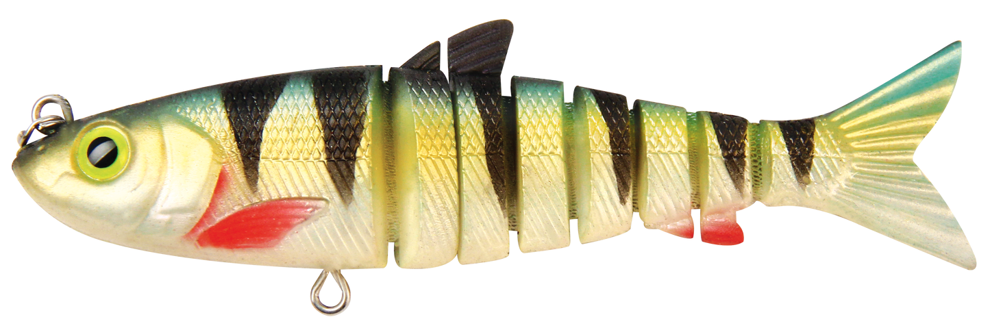LIVE MULLET