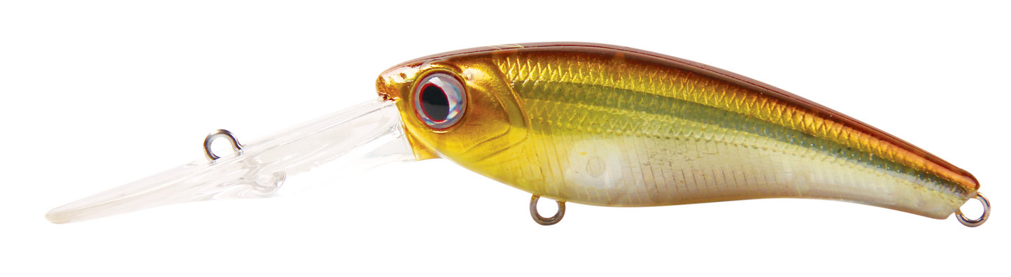 TANGO SHAD