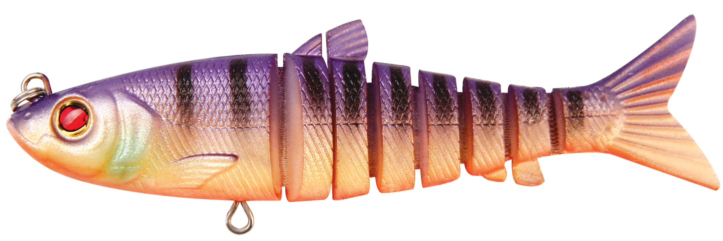 LIVE MULLET