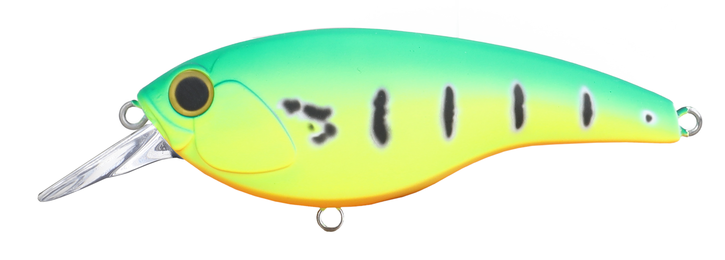 NAP SHAD