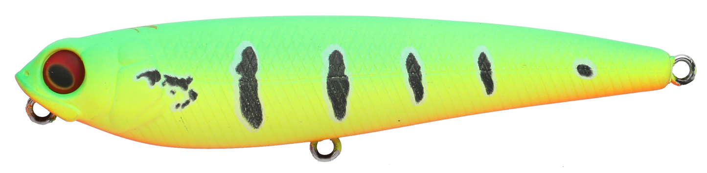 SKITTISH DOG
