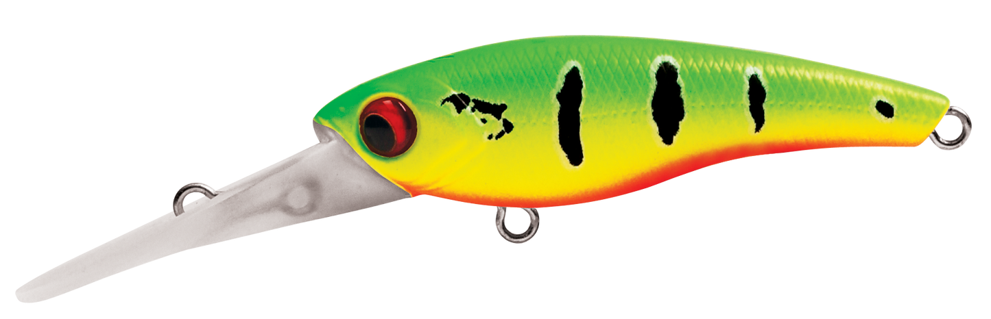 TANGO SHAD