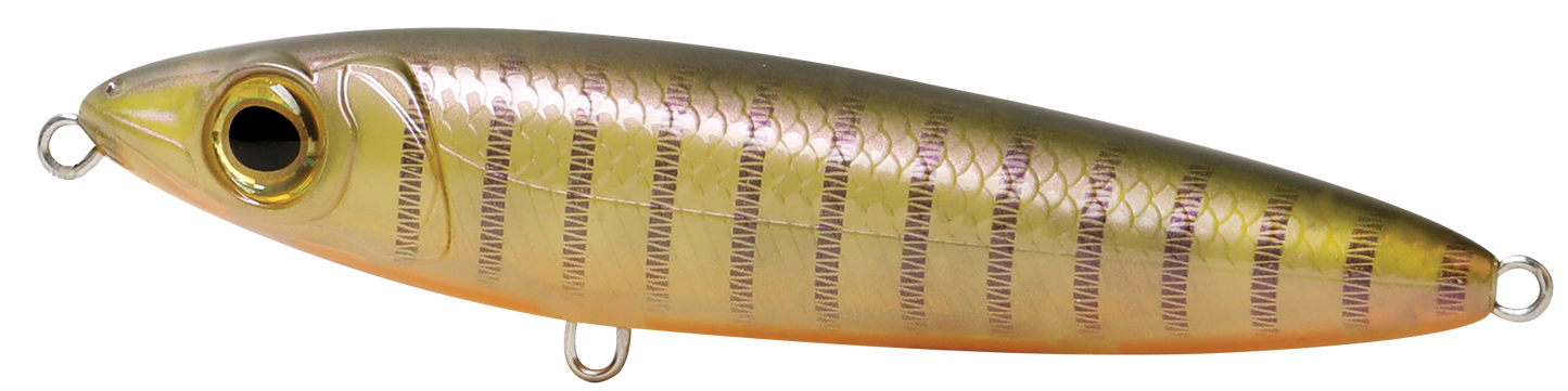 GECKO