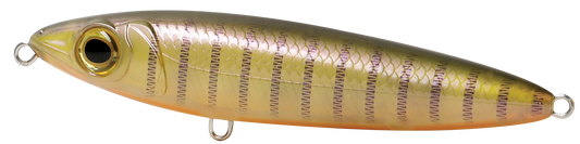 GECKO