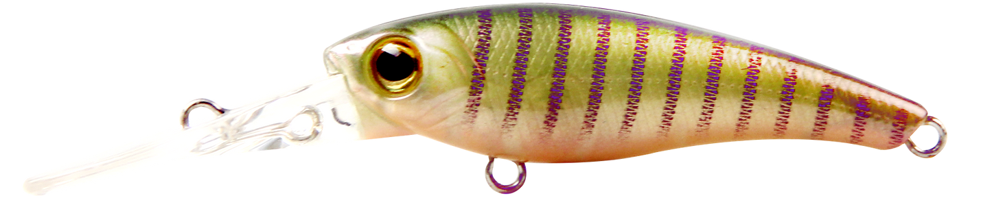 TANGO SHAD