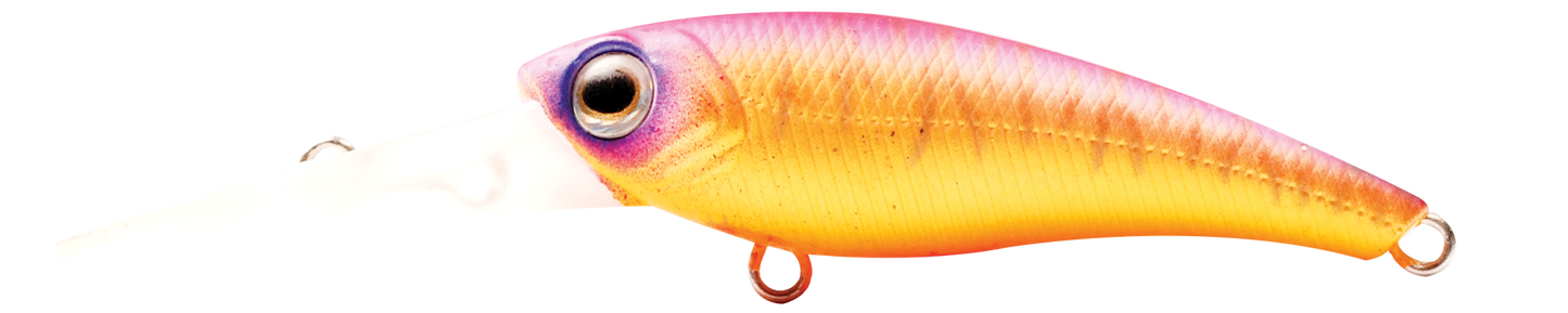 TANGO SHAD