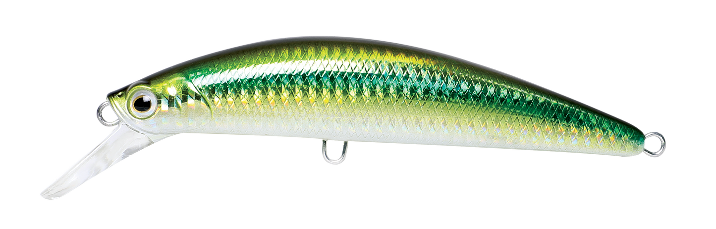 CAVALLA