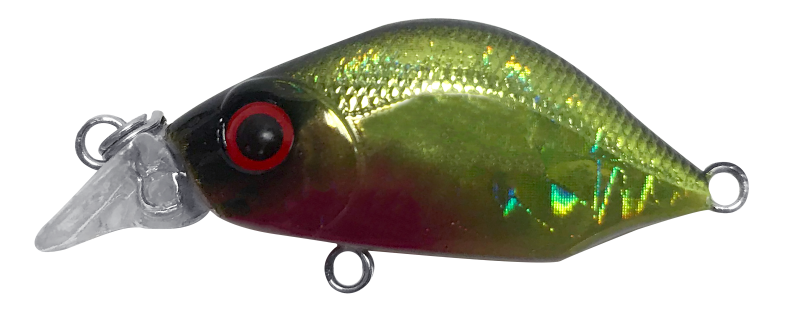 FIREFLY