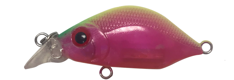 FIREFLY