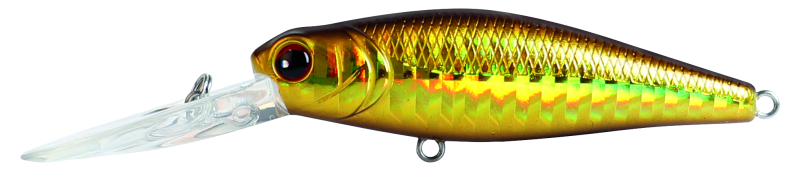 Fishart