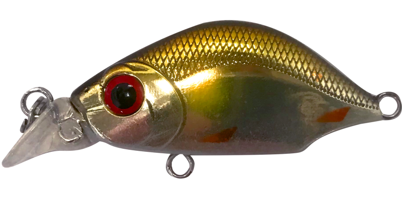 FIREFLY