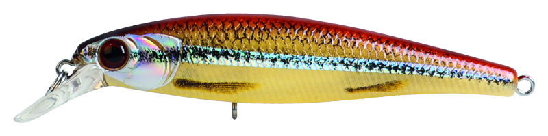 JERKIN SHAD