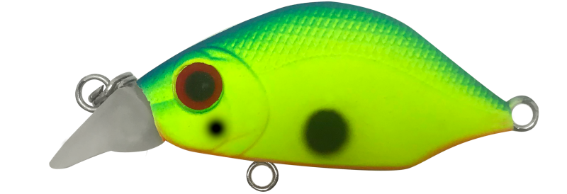 FIREFLY