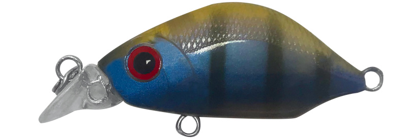 FIREFLY
