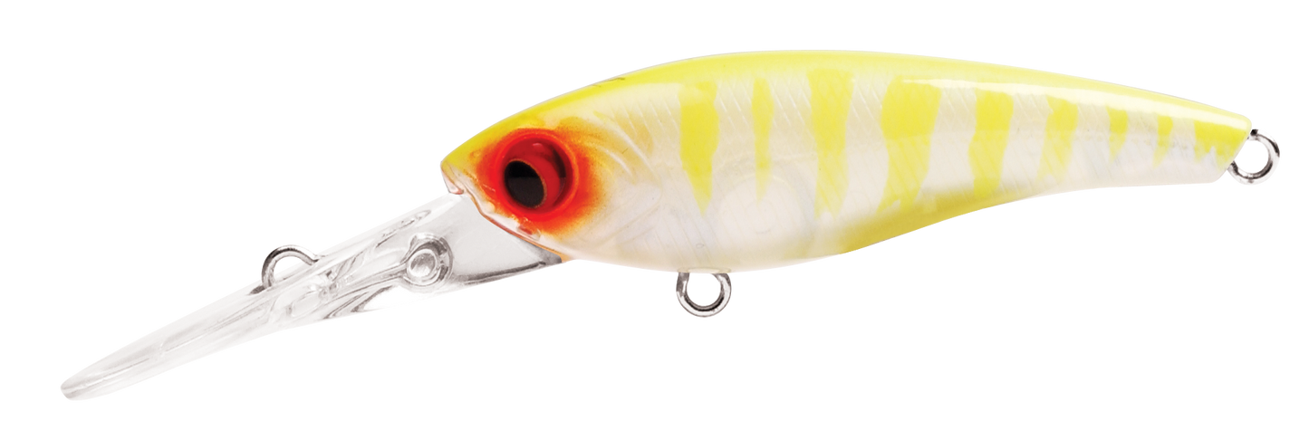 TANGO SHAD