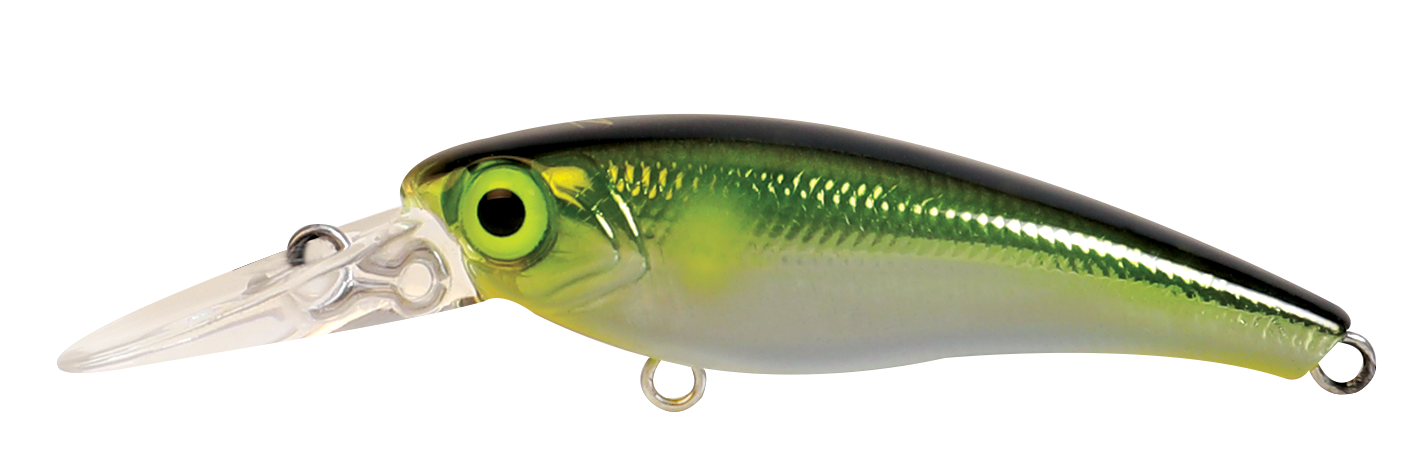 TANGO SHAD FINESSE