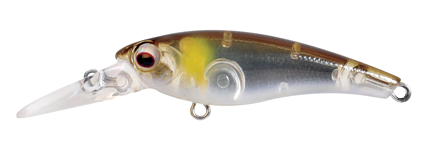 TANGO SHAD FINESSE