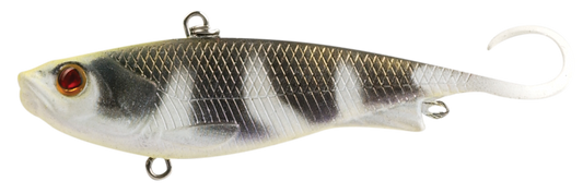 FISH TRAP