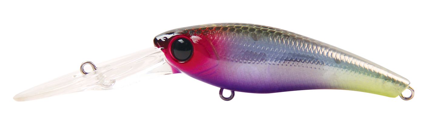 TANGO SHAD