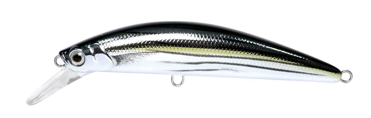 CAVALLA
