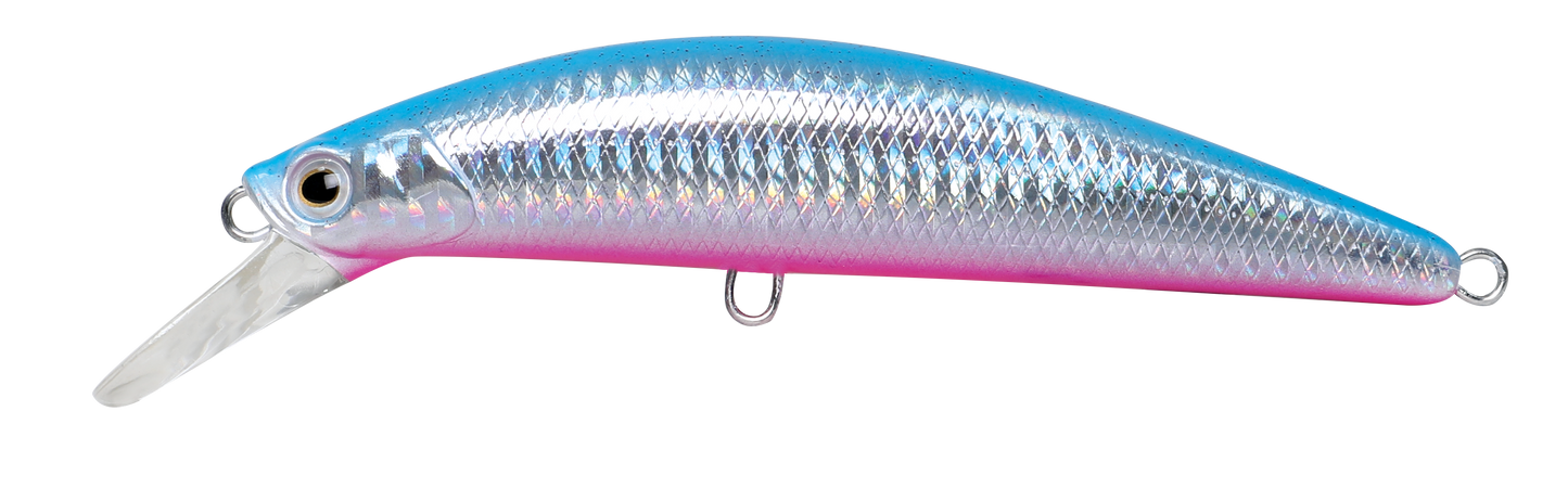 CAVALLA