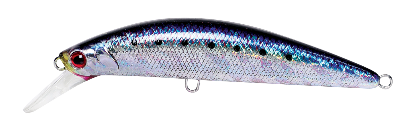 CAVALLA