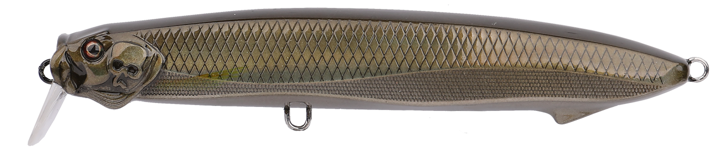 SEABASS MINNOW